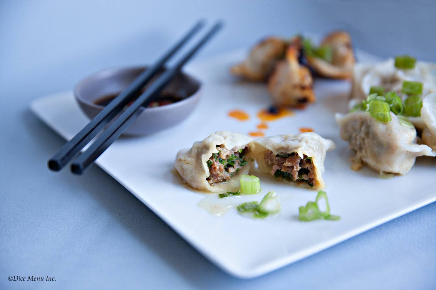 New York Catering - Dumpling Menu